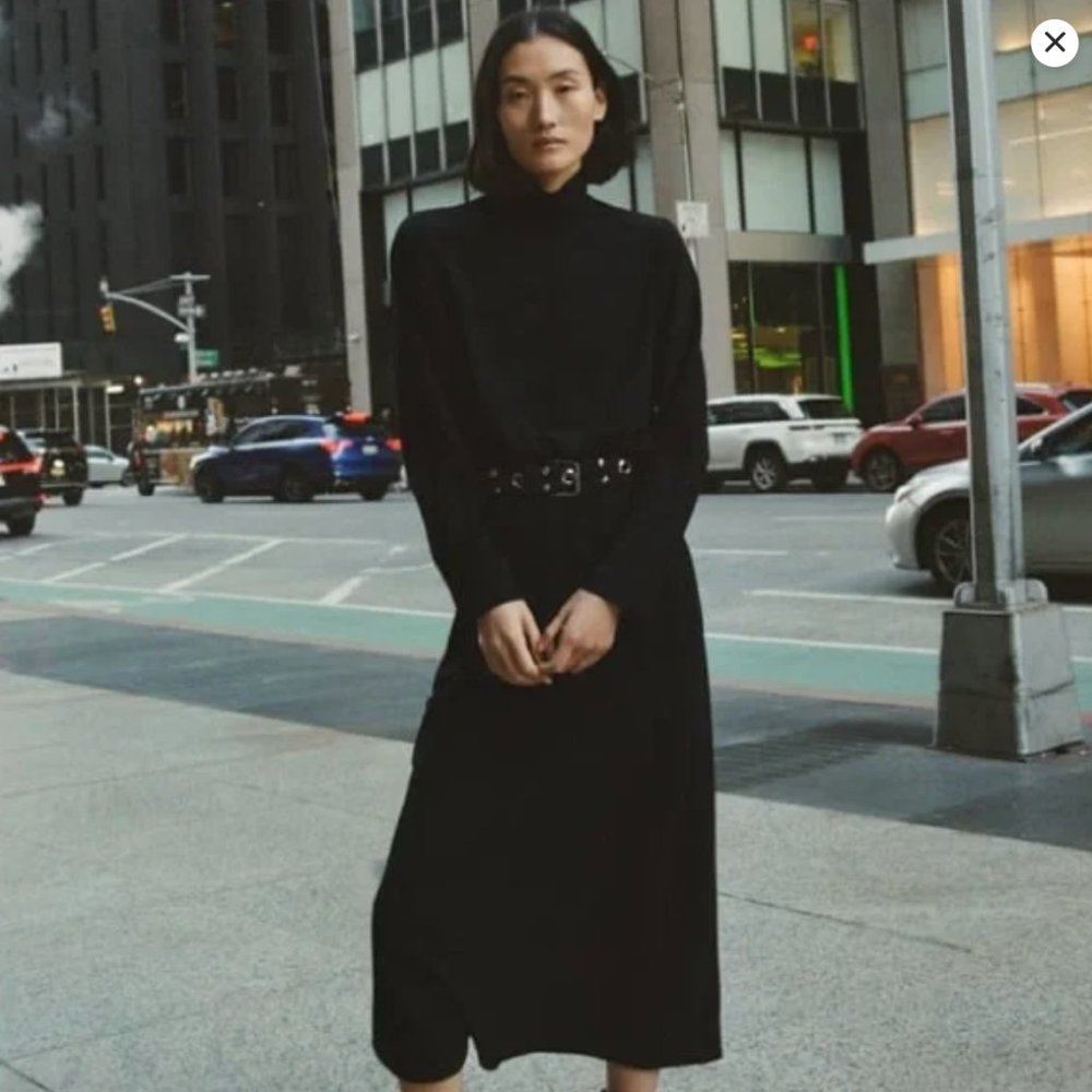 Zara high collar midi dress